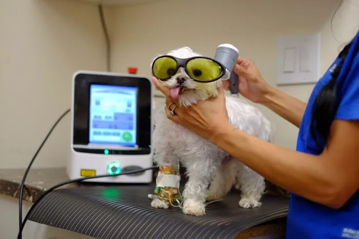 Mineola Animal Hospital 12