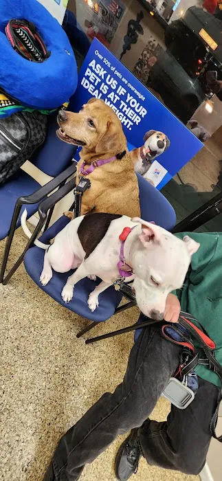 Mineola Animal Hospital 12