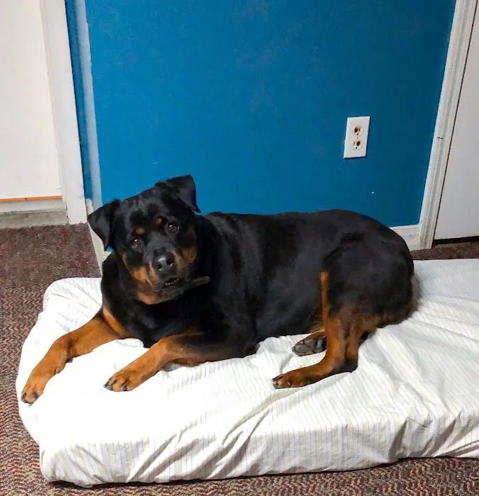 Crawford Animal Hospital 12