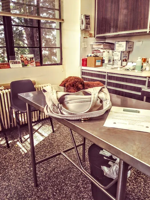 Crawford Animal Hospital 12