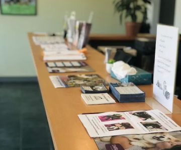 Premier Veterinary Medical Group - Mineola