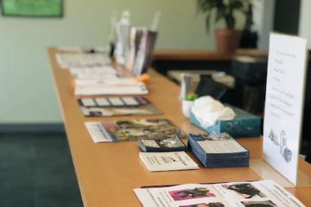 Premier Veterinary Medical Group - Mineola