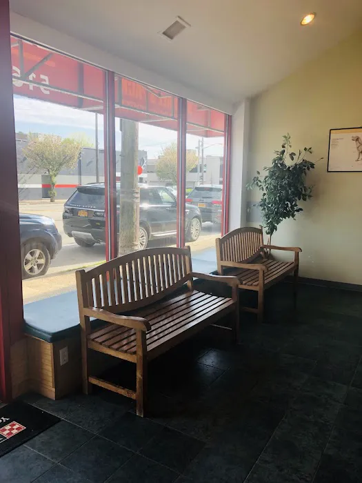 Premier Veterinary Medical Group - Mineola 12