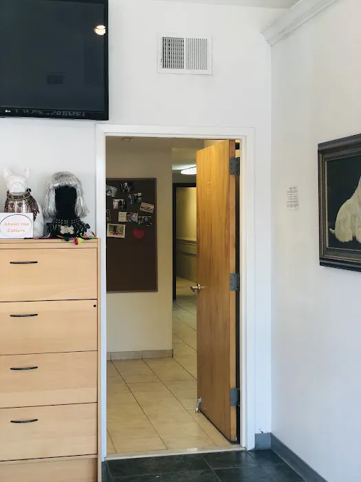 Premier Veterinary Medical Group - Mineola 12