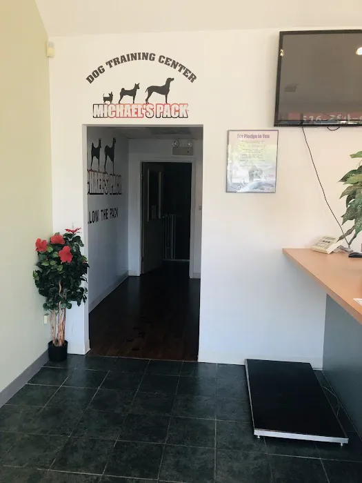 Premier Veterinary Medical Group - Mineola 12