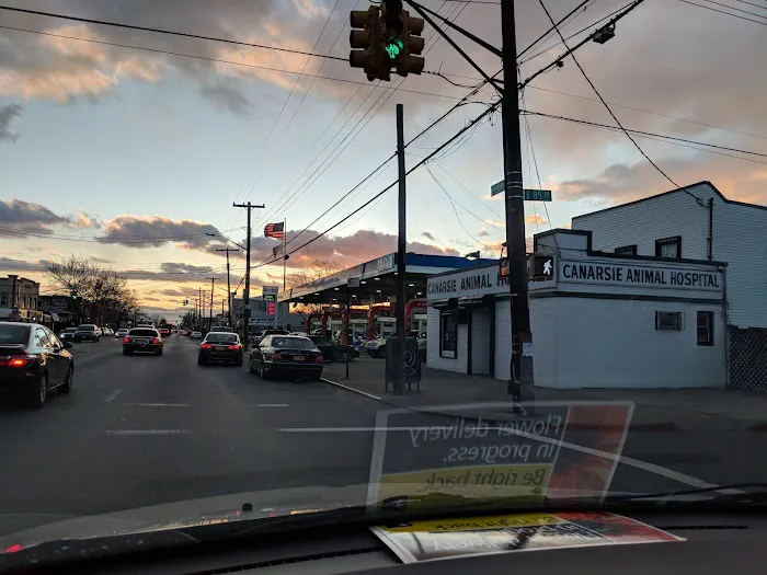 Canarsie Animal Hospital 1