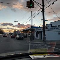 Canarsie Animal Hospital ico