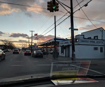 Canarsie Animal Hospital