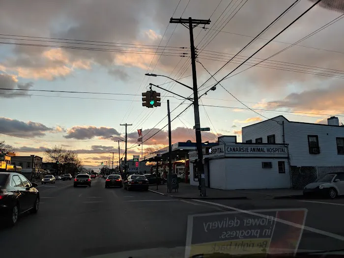 Canarsie Animal Hospital 4