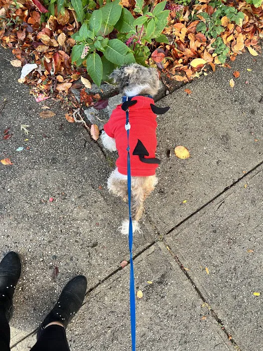 Canarsie Animal Hospital 5