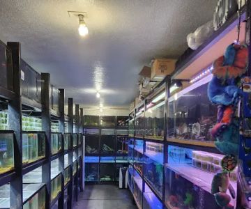 Aquatica Aquarium Gallery
