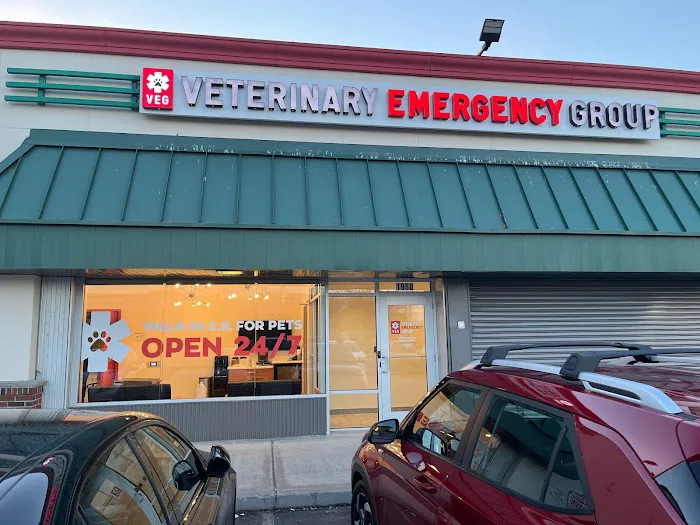 Veterinary Emergency Group 1