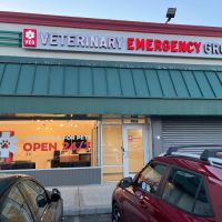 Veterinary Emergency Group ico
