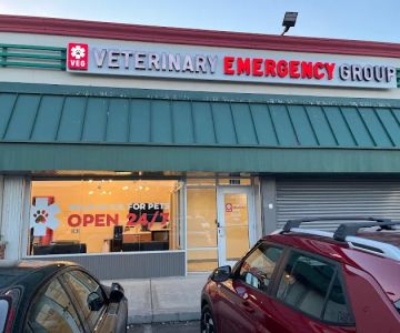 Veterinary Emergency Group