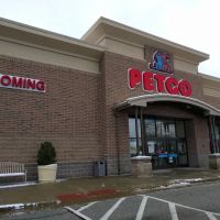 Petco ico