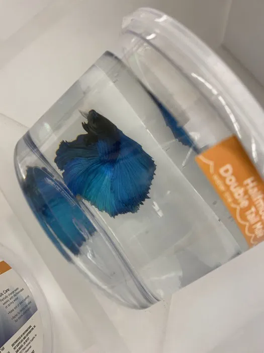 Petco 4