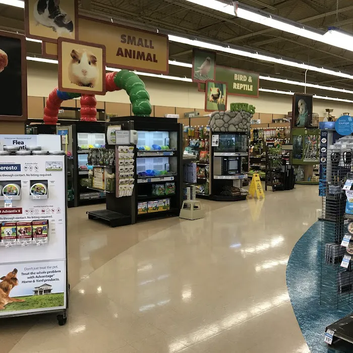 Petco 10