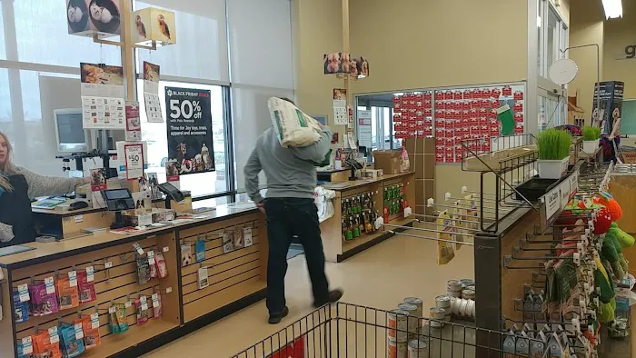 Petco 7