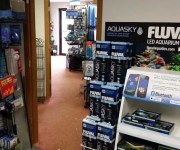 Rift Lake Aquatics