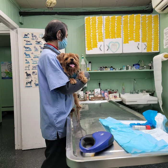 Tri-Boro Animal Hospital 6