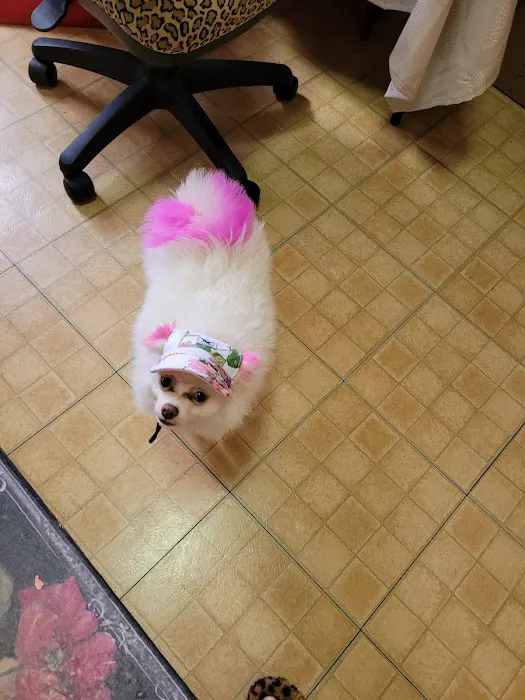 Tri-Boro Animal Hospital 4