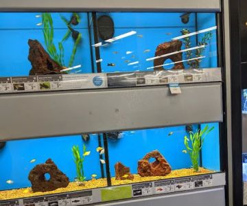 Petco
