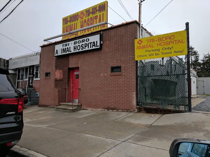 Bronx Animal Hospital / Bronx Vet Center 6