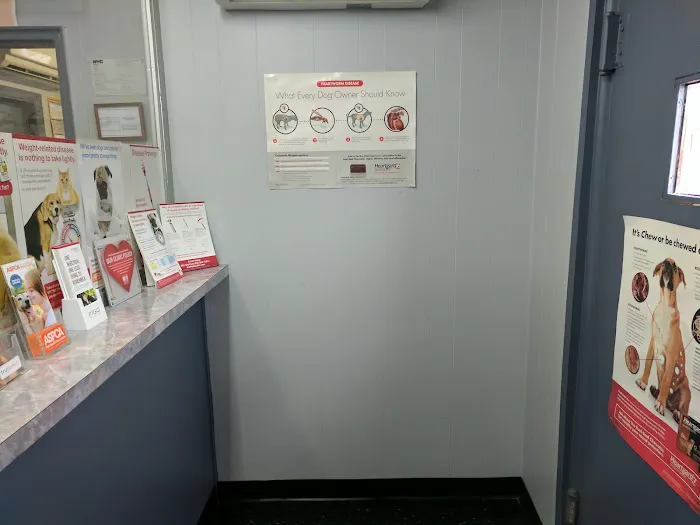 Bronx Animal Hospital / Bronx Vet Center 4