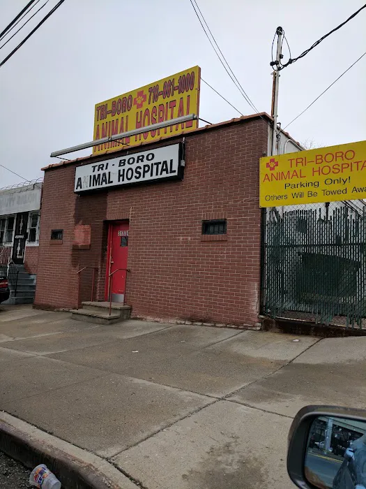 Bronx Animal Hospital / Bronx Vet Center 3
