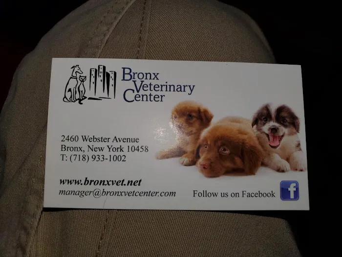 Grand Concourse Animal Hospital 12