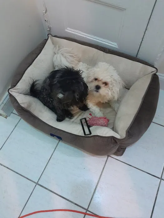Grand Concourse Animal Hospital 12