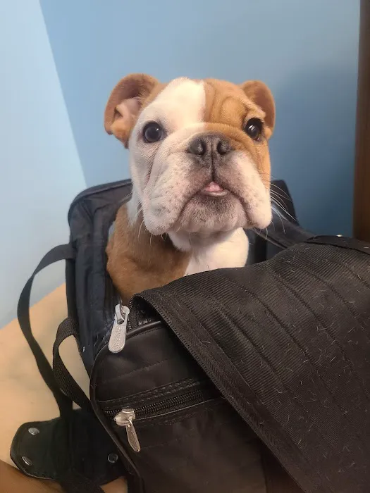 Bronx Veterinary Center 12
