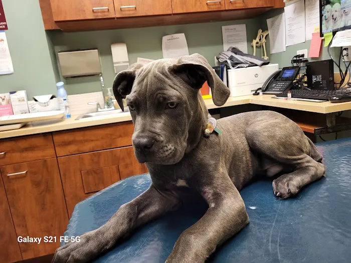 Bronx Veterinary Center 12
