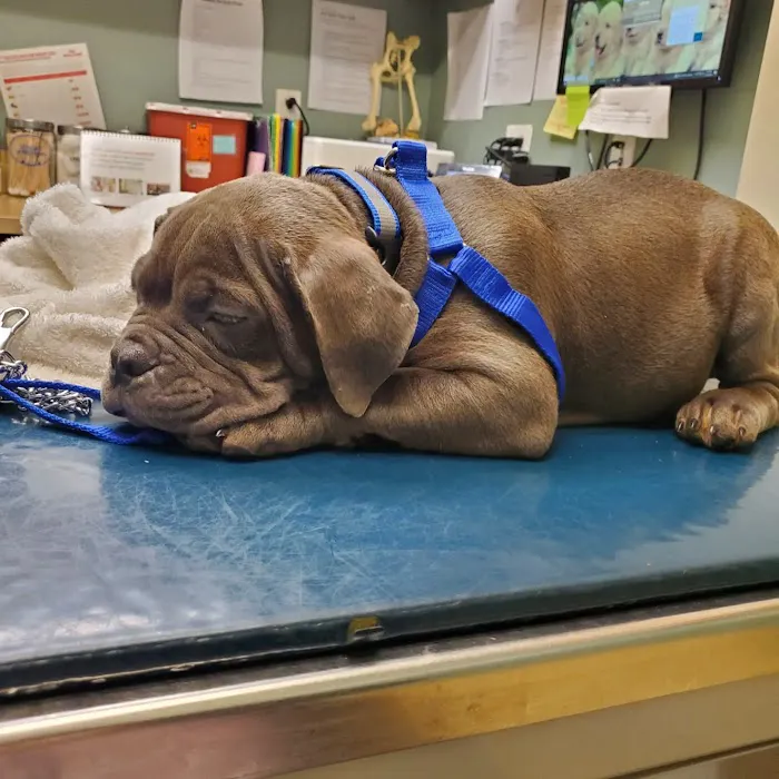 Bronx Veterinary Center 12