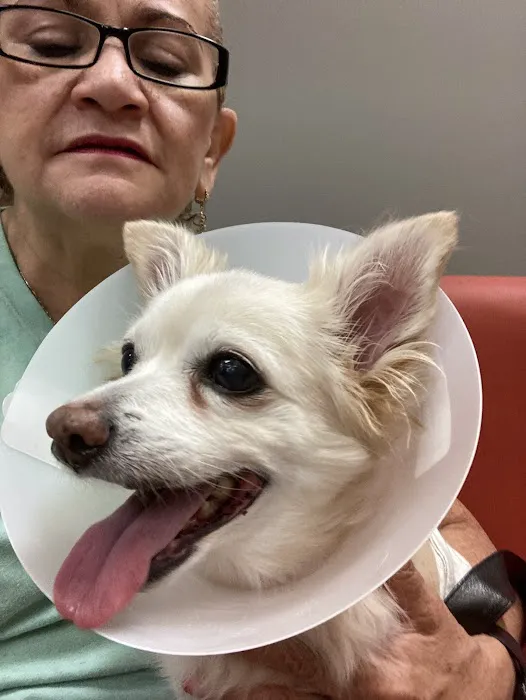 Bronx Veterinary Center 12