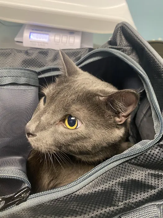 Bronx Veterinary Center 12