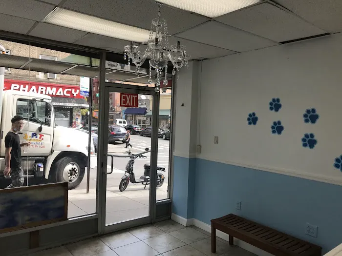 Fordham Veterinary Clinic 12