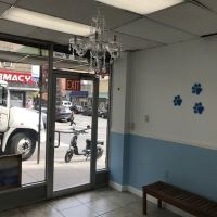 Fordham Veterinary Clinic ico
