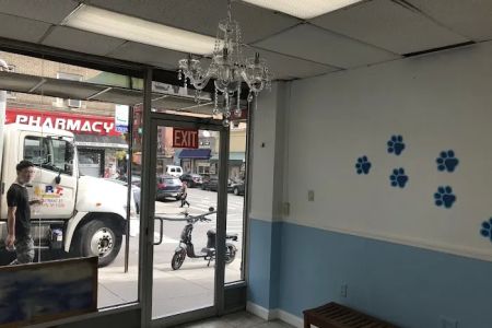 Fordham Veterinary Clinic