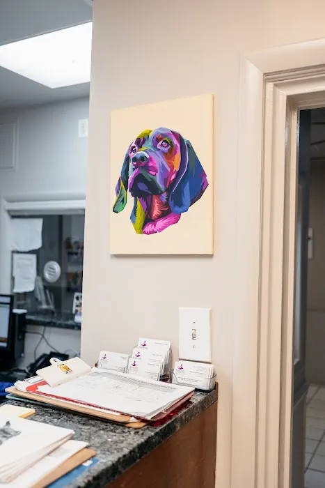 Armory Dog & Cat Hospital 12
