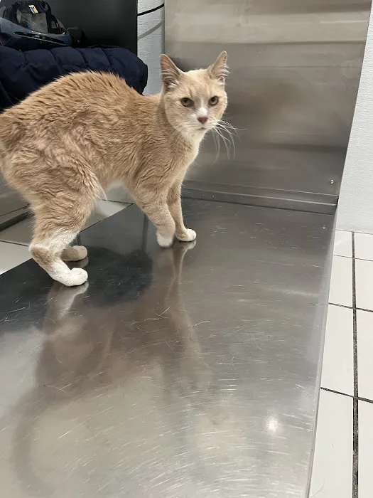 Modern Vet Care 6