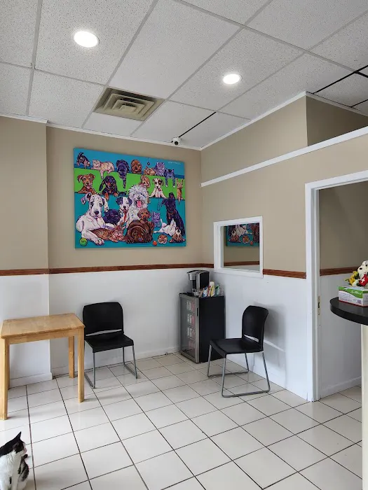 Modern Vet Care 10