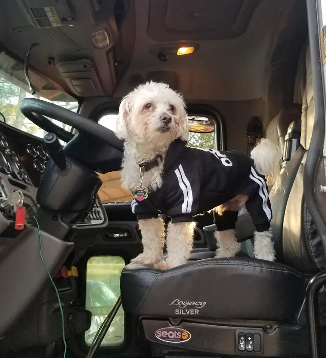 Inman Animal Hospital 12