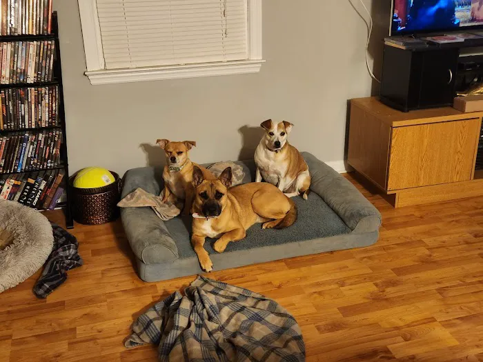 Inman Animal Hospital 12