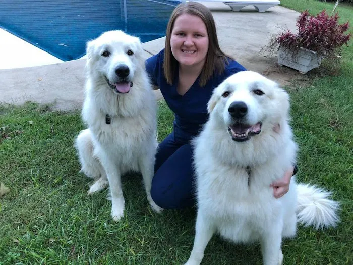 Heartland Animal Hospital 12