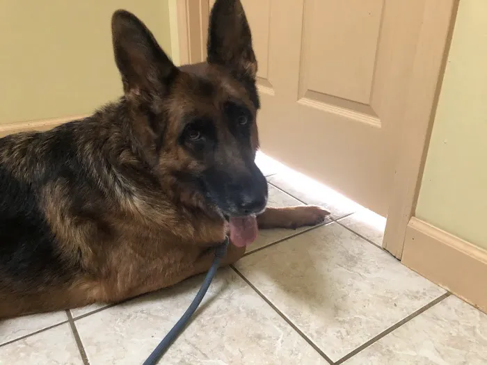 Saluda Veterinary Hospital 1