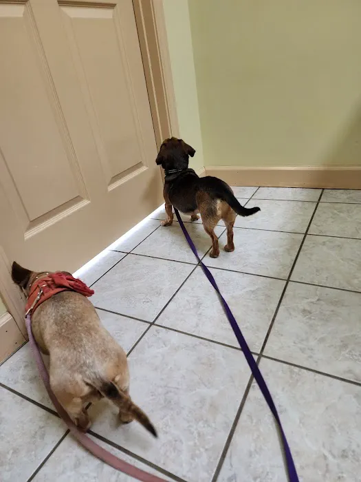 Saluda Veterinary Hospital 3