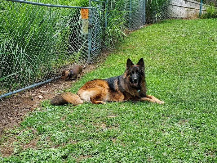 Saluda Veterinary Hospital 6
