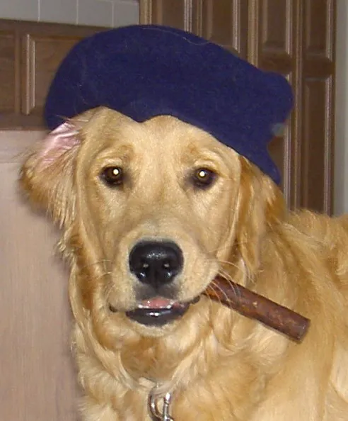 Saluda Veterinary Hospital 4