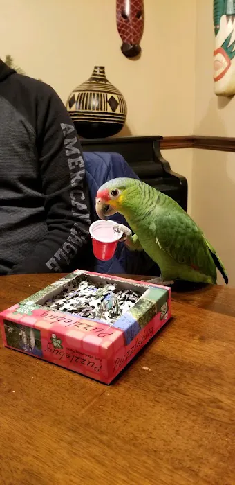 In A Pickle Parrot Shop 10